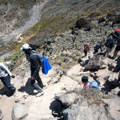 kilimanjaro-lemosho route