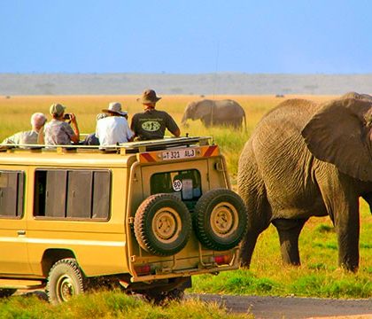 Serengeti-National-Park-Tanzania-safari with kili view and safaris