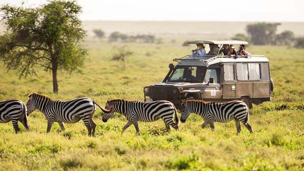 7 Days Standard Safari Itinerary