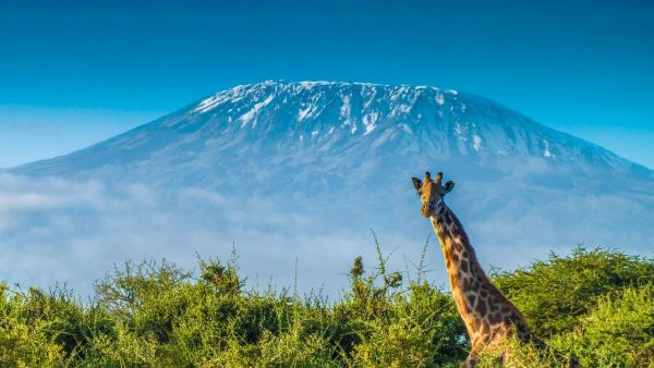 Kilimanjaro  Marangu Route cocacola route 5 days