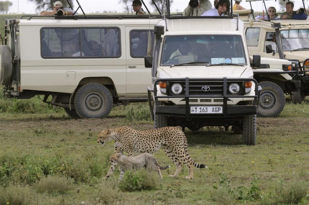 2 Days Safari 1 Night Tarangire & Ngorongoro