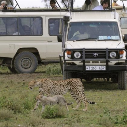 2 Days Safari 1 Night Tarangire & Ngorongoro